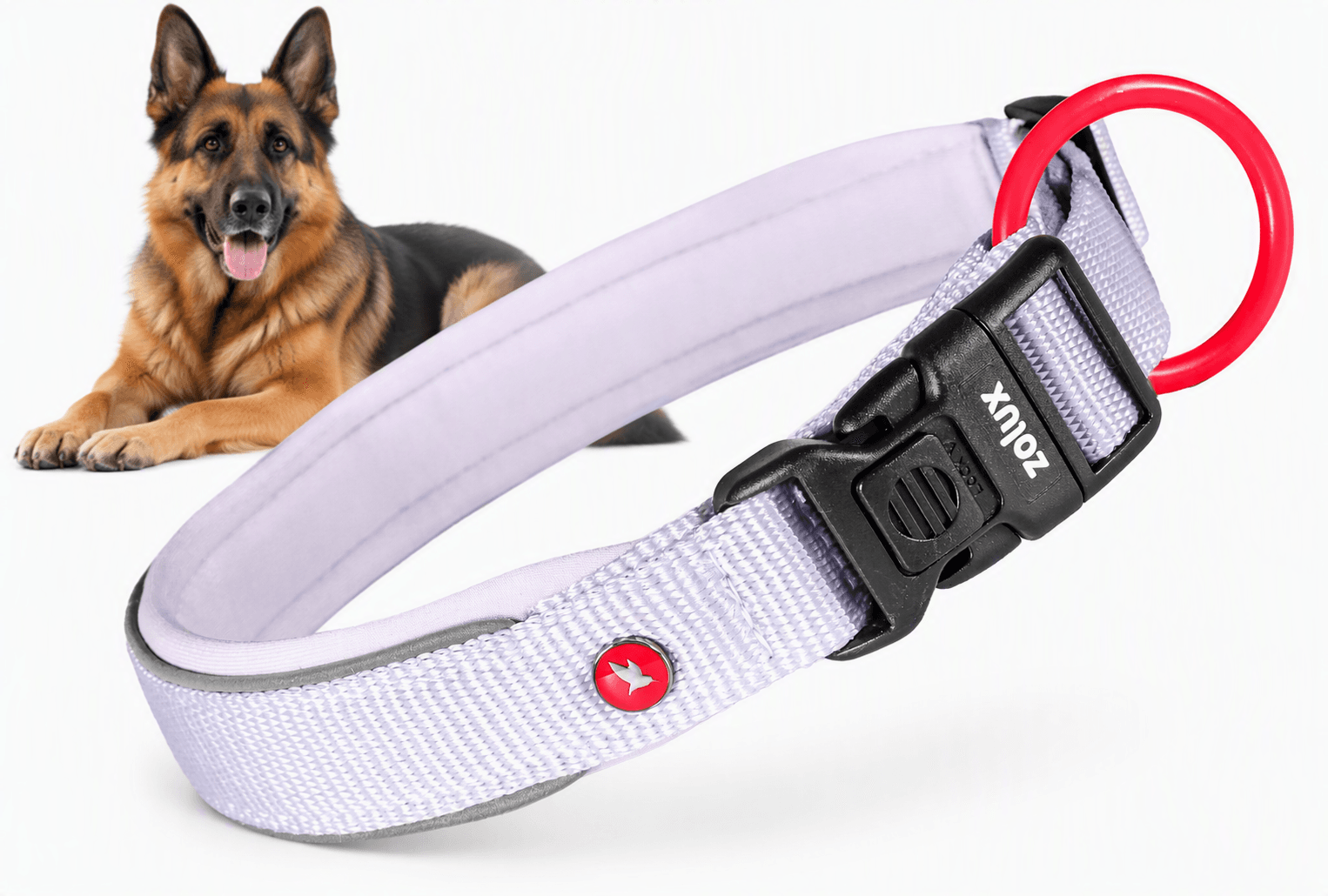 ZOLUX Premium-Nylon-Hundehalsband, Größe L, 45–50 cm, 25 mm, lila – Bild 1