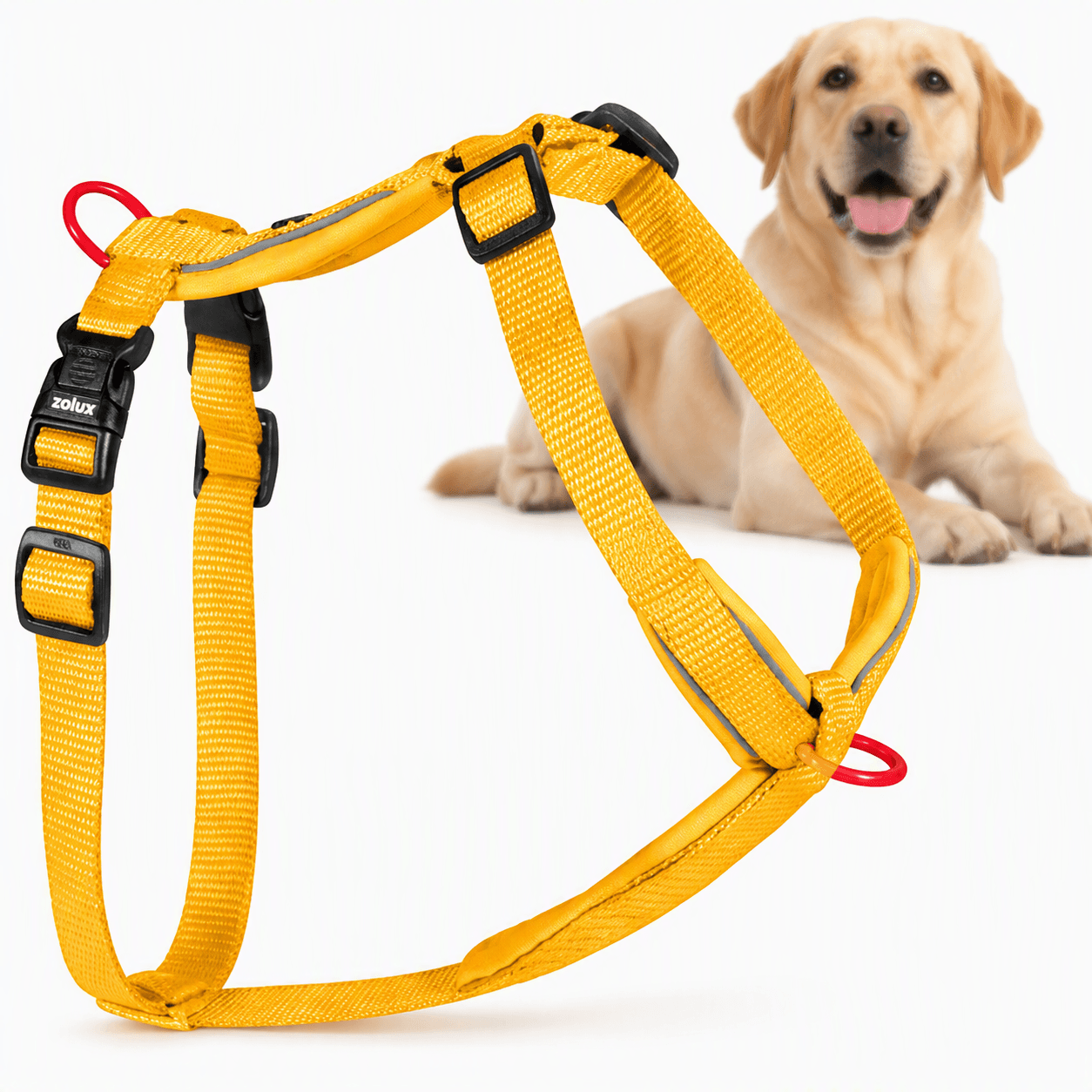 ZOLUX Premium-Nylon-Hundegeschirr, Größe L/XL, 65–97 cm, 25 mm, gelb – Bild 1