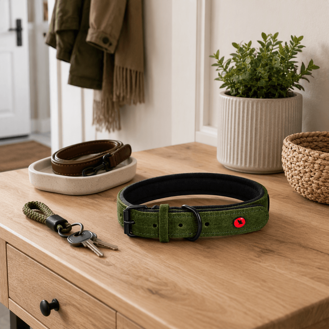 ZOLUX Komfort-Lederhalsband für Hunde, 38–48 cm, 25 mm, grün – Bild 4