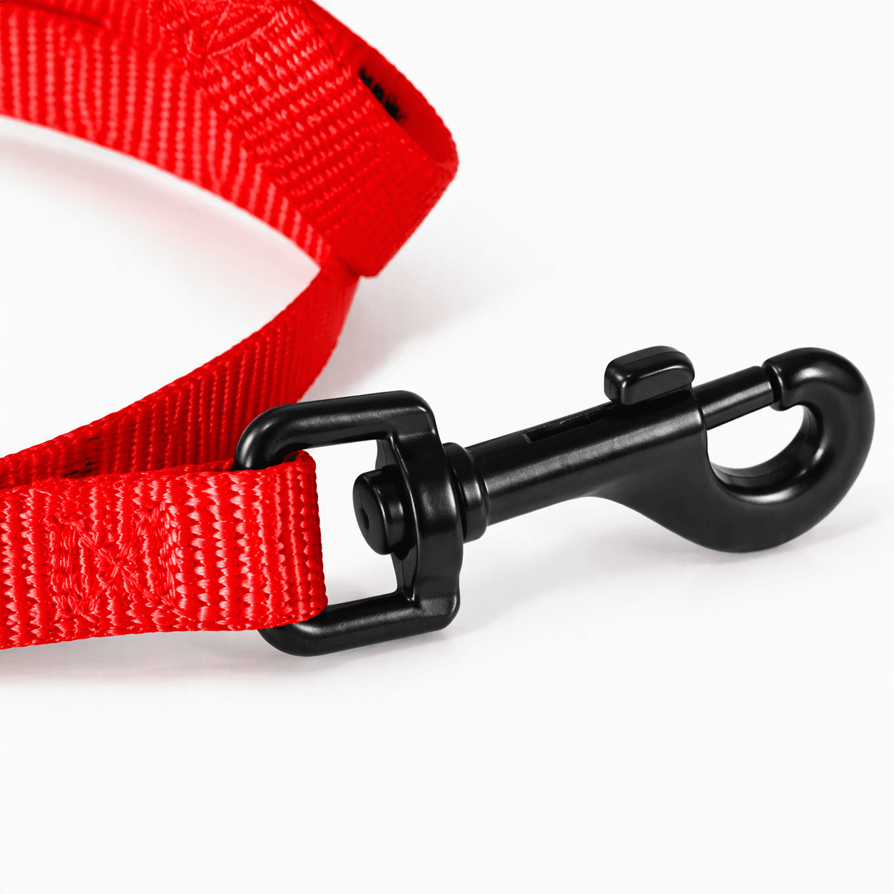 ZOLUX Klassische Nylon-Hundeleine, 1,20 m, 25 mm, rot – Bild 5