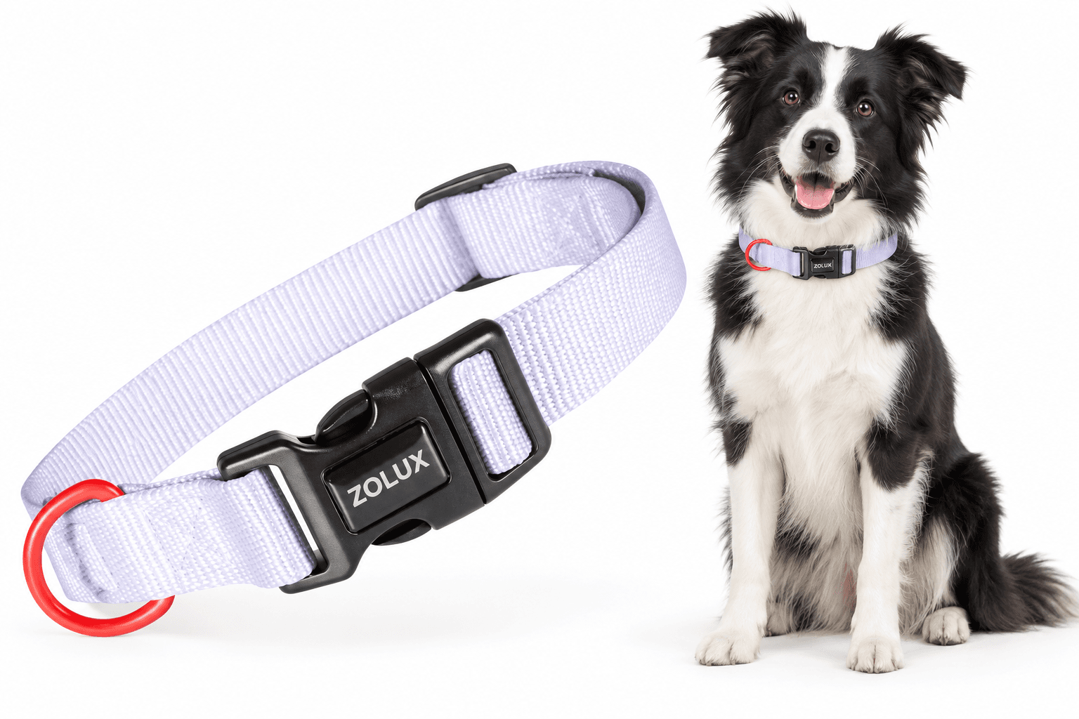 ZOLUX Klassisches Nylon-Hundehalsband, 31–48 cm, 20 mm, lila – Bild 1