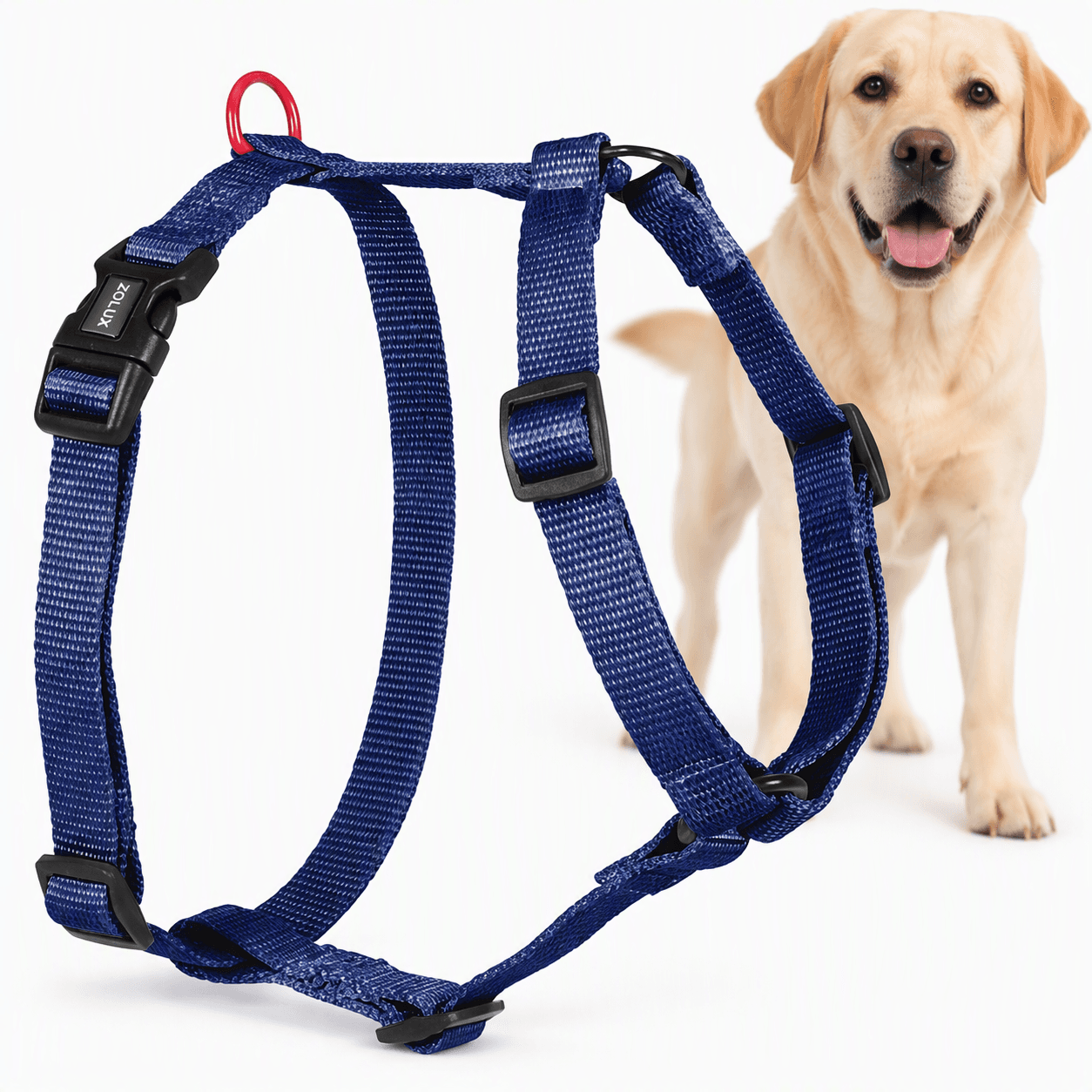 ZOLUX Klassisches Nylon-Hundegeschirr, 60–89 cm, 25 mm, marineblau – Bild 1