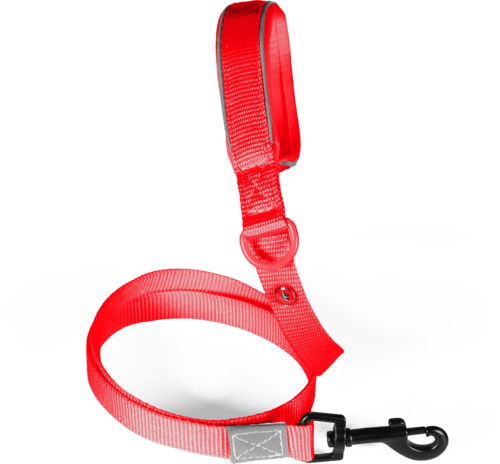 ZOLUX Premium-Nylon-Hundeleine, Größe XL, 1,2 m, 25 mm, rot – Bild 2