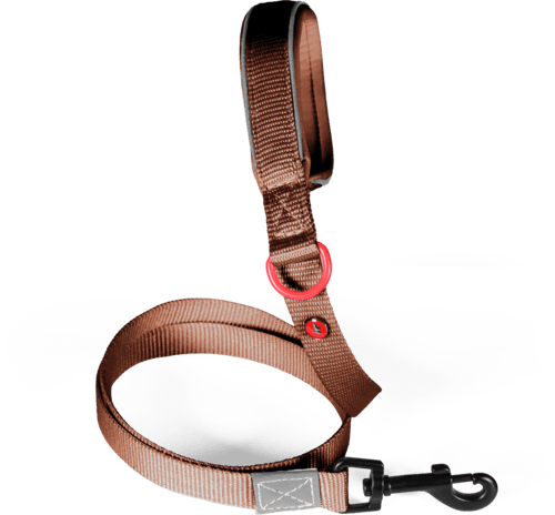 ZOLUX Premium-Nylon-Hundeleine, Größe XL, 1,2 m, 25 mm, mocha – Bild 2