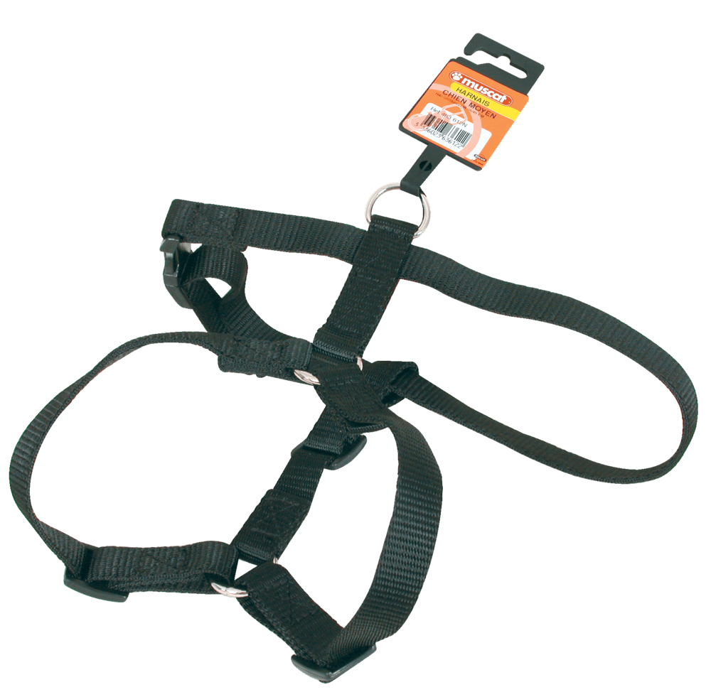 ZOLUX Nylon-Hundegeschirr, verstellbar 40–60 cm, 20 mm, schwarz – Bild 1