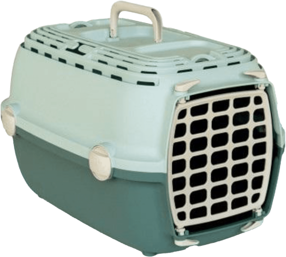 ZOLUX Transportbox für Hunde und Katzen bis 6 kg HORIZON 1, grüne Kunststofftür