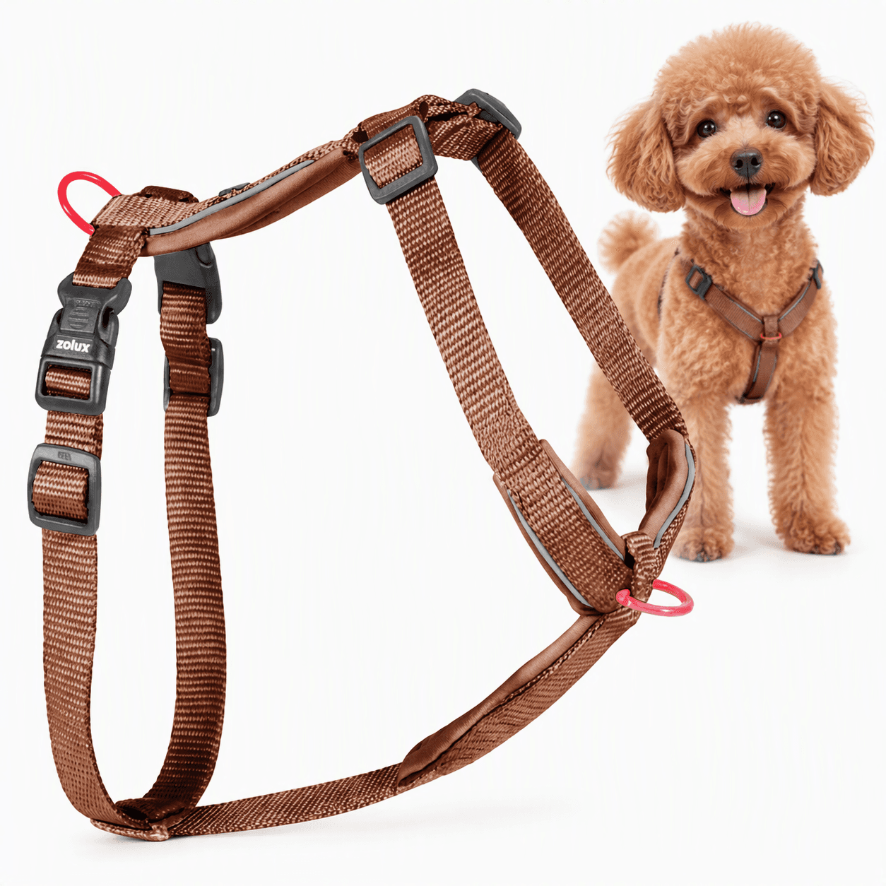 ZOLUX Premium-Nylon-Hundegeschirr, Größe XS, 30–40 cm, 15 mm, mocha