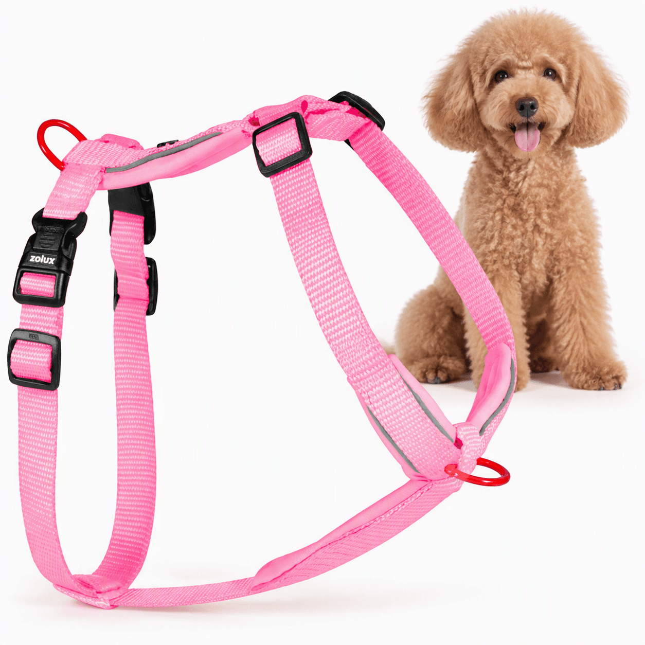 ZOLUX Premium-Nylon-Hundegeschirr, Größe XS, 30–40 cm, 15 mm, fuchsia