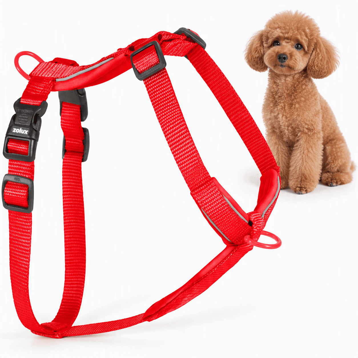 ZOLUX Premium-Nylon-Hundegeschirr, Größe XS, 30–40 cm, 15 mm, rot