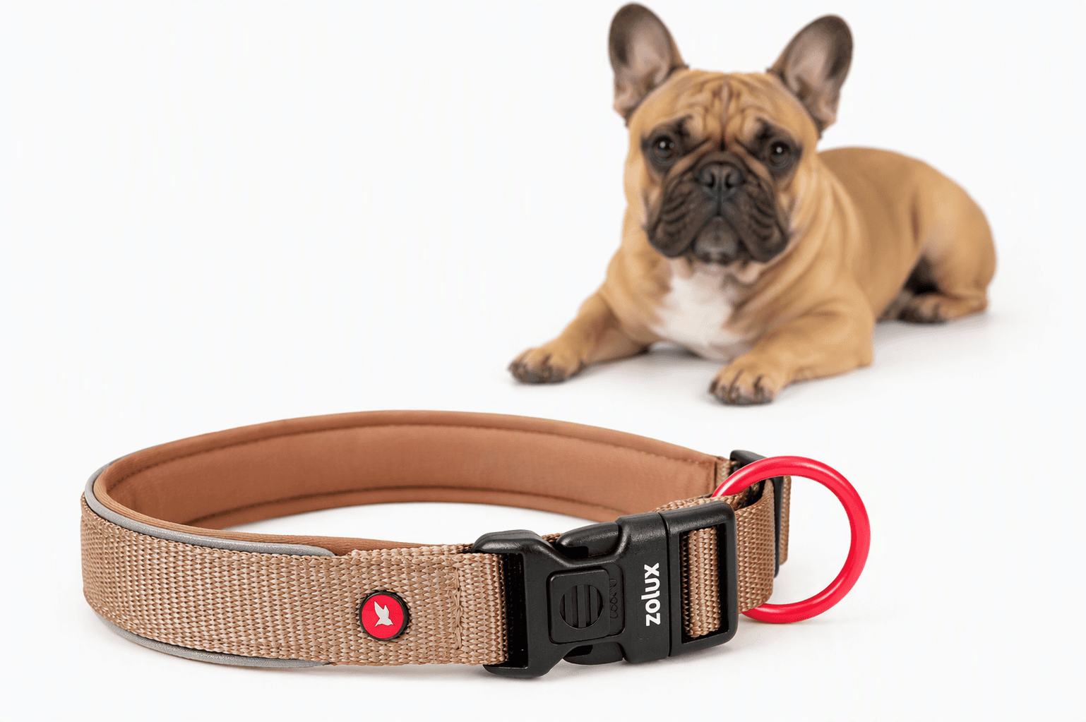 ZOLUX Premium-Nylon-Hundehalsband, Größe S, 35–40 cm, 20 mm, mocha
