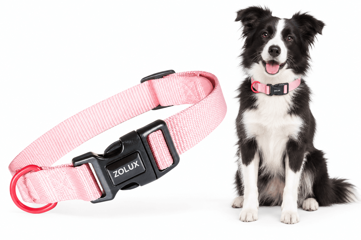ZOLUX Klassisches Nylon-Hundehalsband, 31–48 cm, 20 mm, rosa