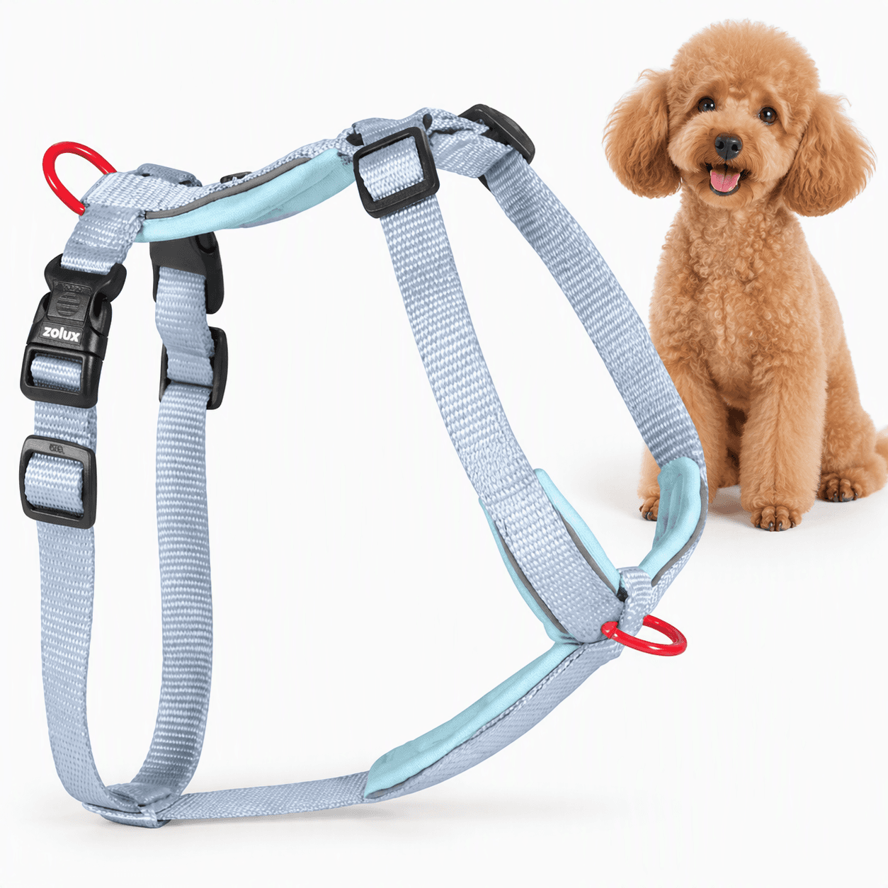 ZOLUX Premium-Nylon-Hundegeschirr, Größe XS, 30–40 cm, 15 mm, hellblau