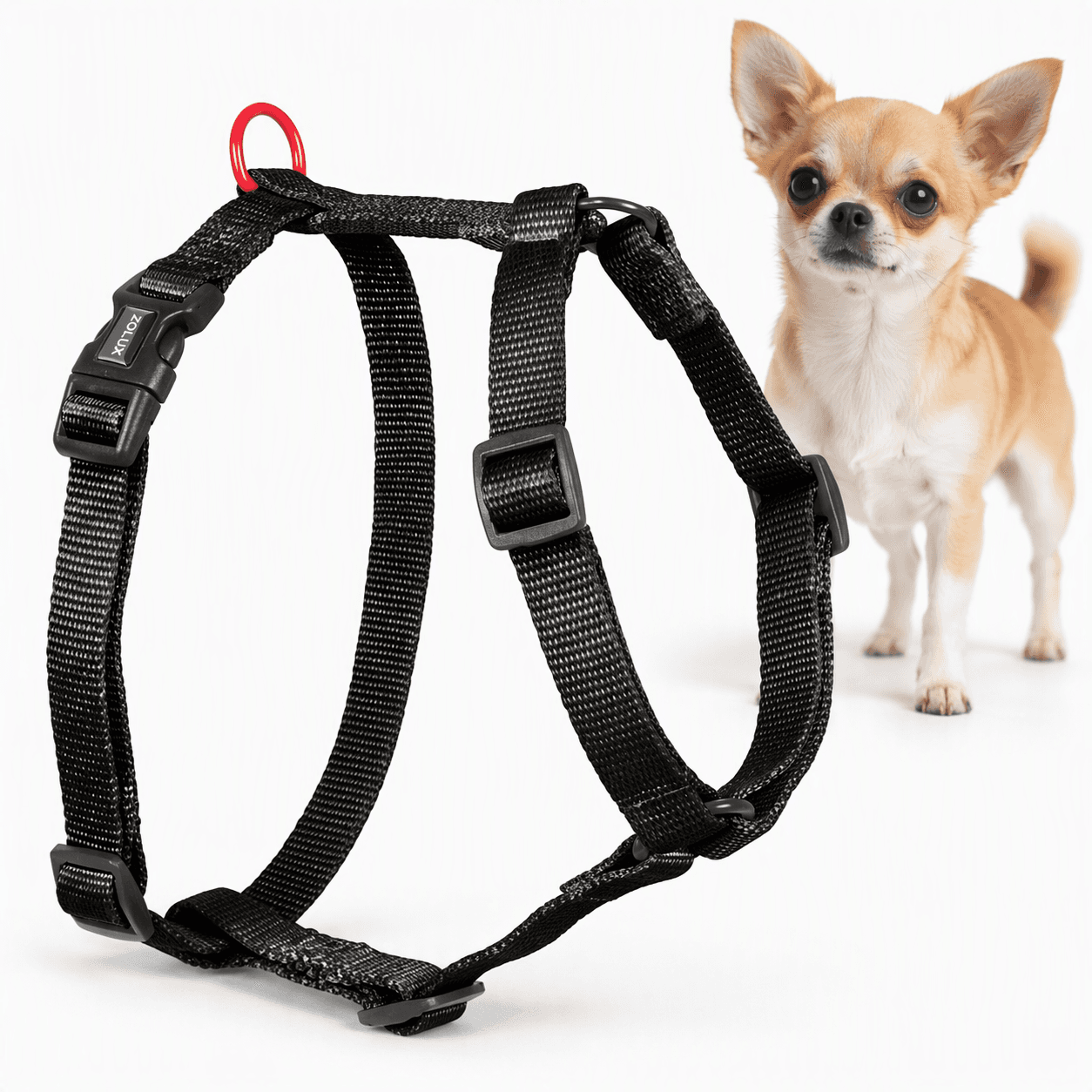 ZOLUX Klassisches Nylon-Hundegeschirr, 23–39 cm, 10 mm, schwarz