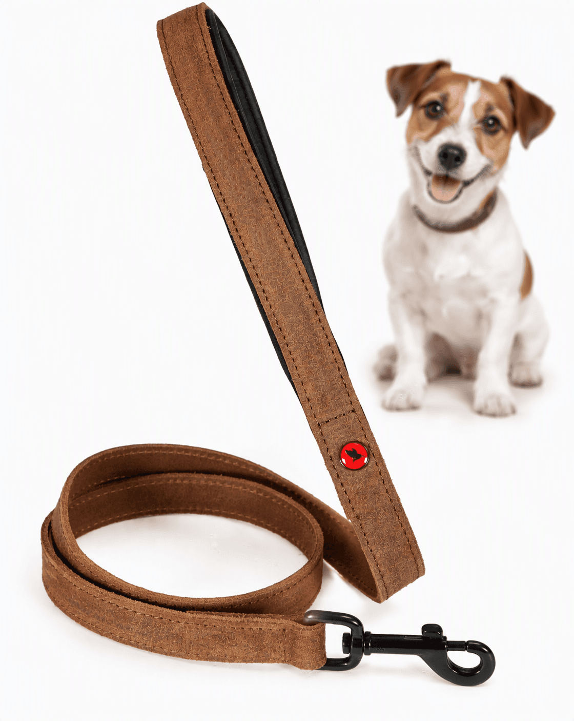 ZOLUX Komfort-Lederleine für Hunde, 1 m, 15 mm, braun