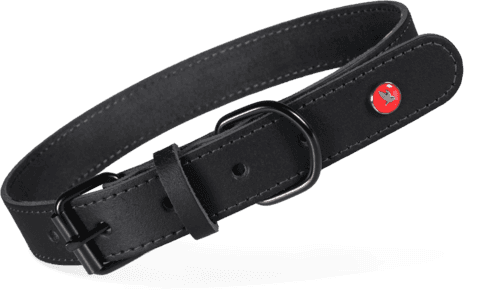 ZOLUX Klassisches Lederhalsband für Hunde, 39–49 cm, 25 mm, schwarz