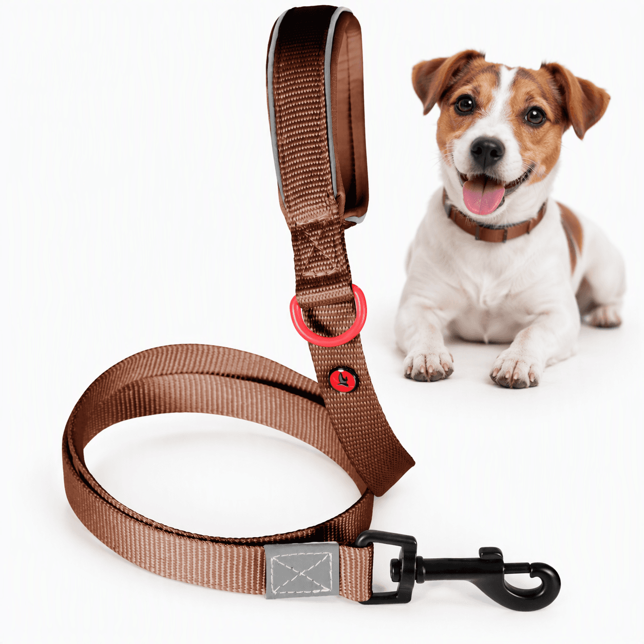 ZOLUX Premium-Nylon-Hundeleine, Größe XS, 1,2 m, 15 mm, mocha