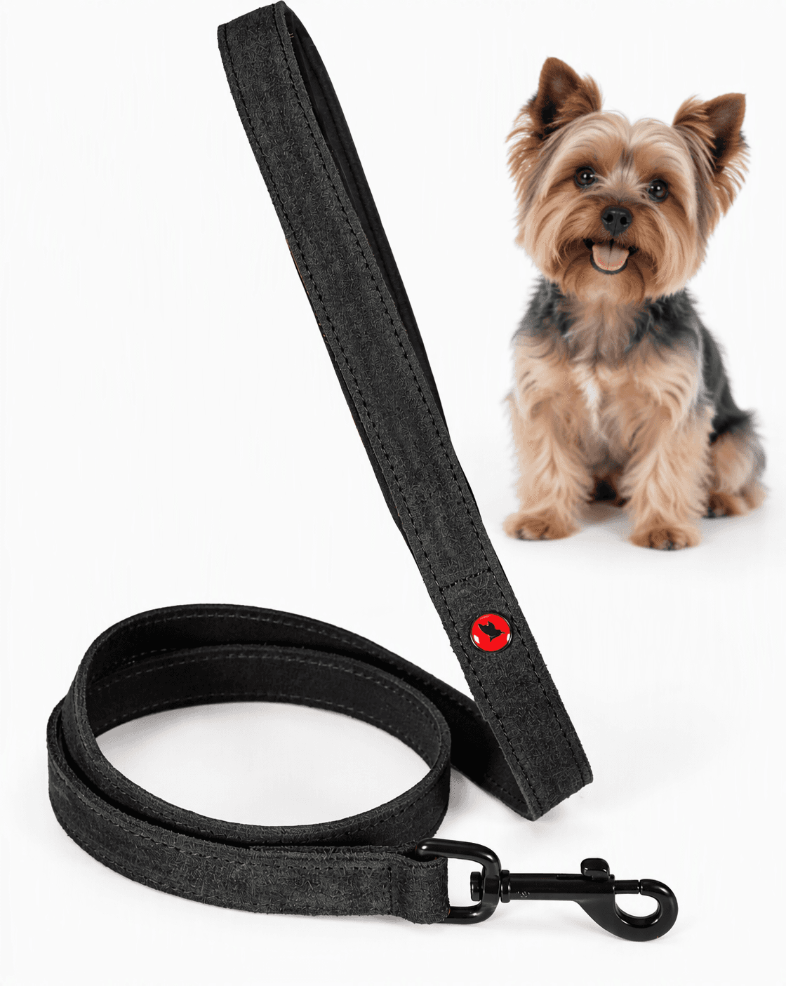 ZOLUX Komfort-Lederleine für Hunde, 1 m, 15 mm, schwarz
