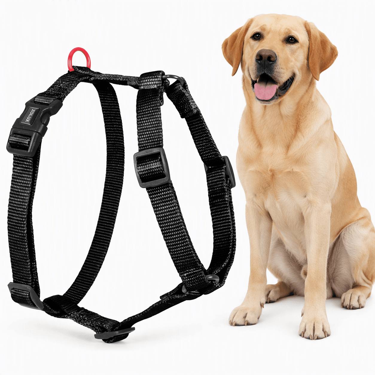 ZOLUX Klassisches Nylon-Hundegeschirr, 60–89 cm, 25 mm, schwarz