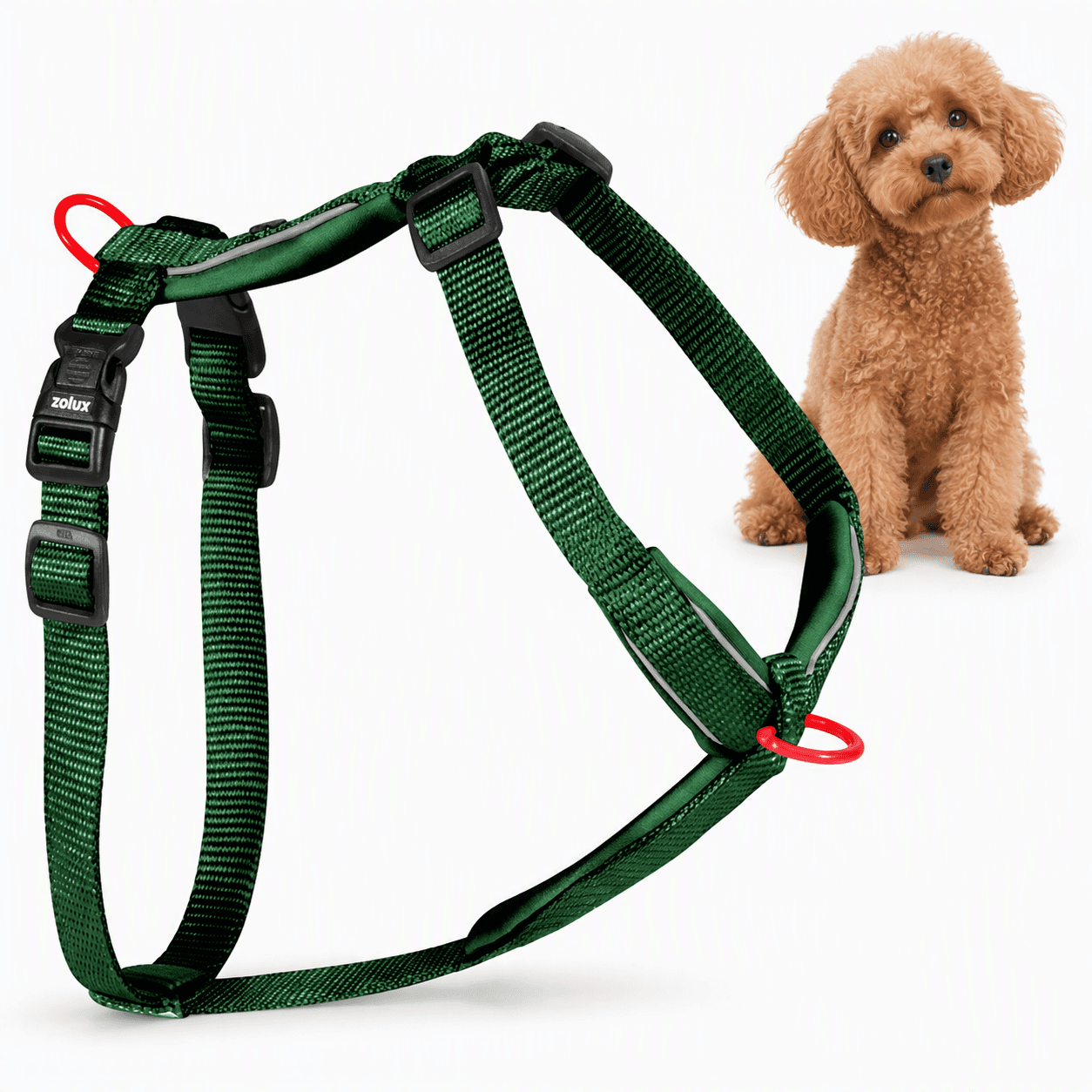 ZOLUX Premium-Nylon-Hundegeschirr, Größe XS, 30–40 cm, 15 mm, grün