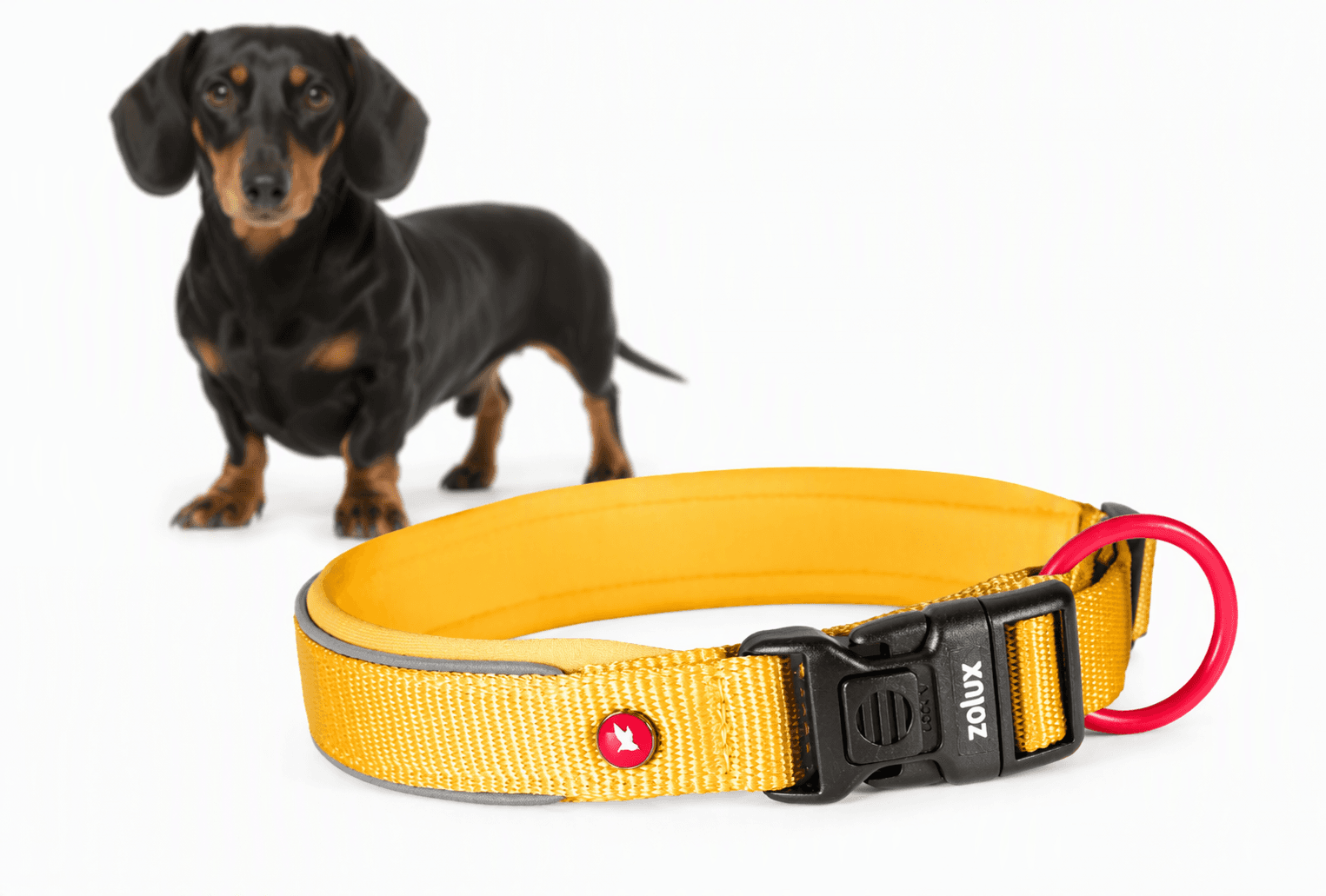 ZOLUX Premium-Nylon-Hundehalsband, Größe XS, 30–35 cm, 15 mm, gelb