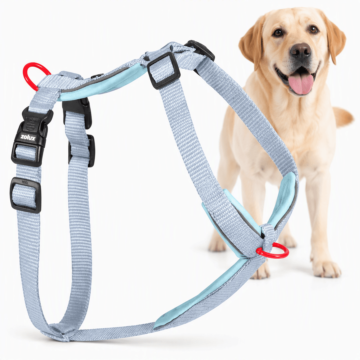 ZOLUX Premium-Nylon-Hundegeschirr, Größe L/XL, 65–97 cm, 25 mm, hellblau