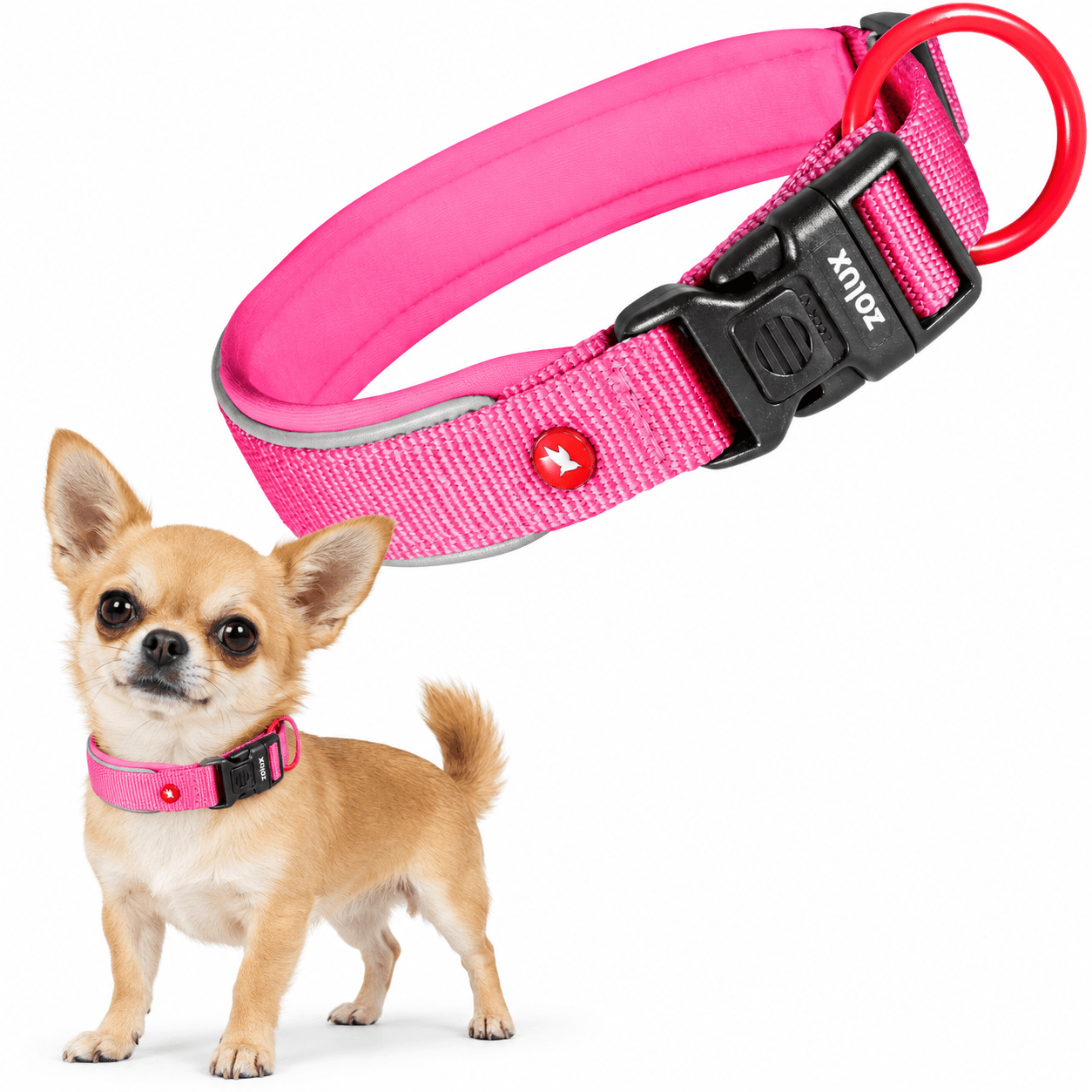 ZOLUX Premium-Nylon-Hundehalsband, Größe XXS, 25–30 cm, 15 mm, fuchsia