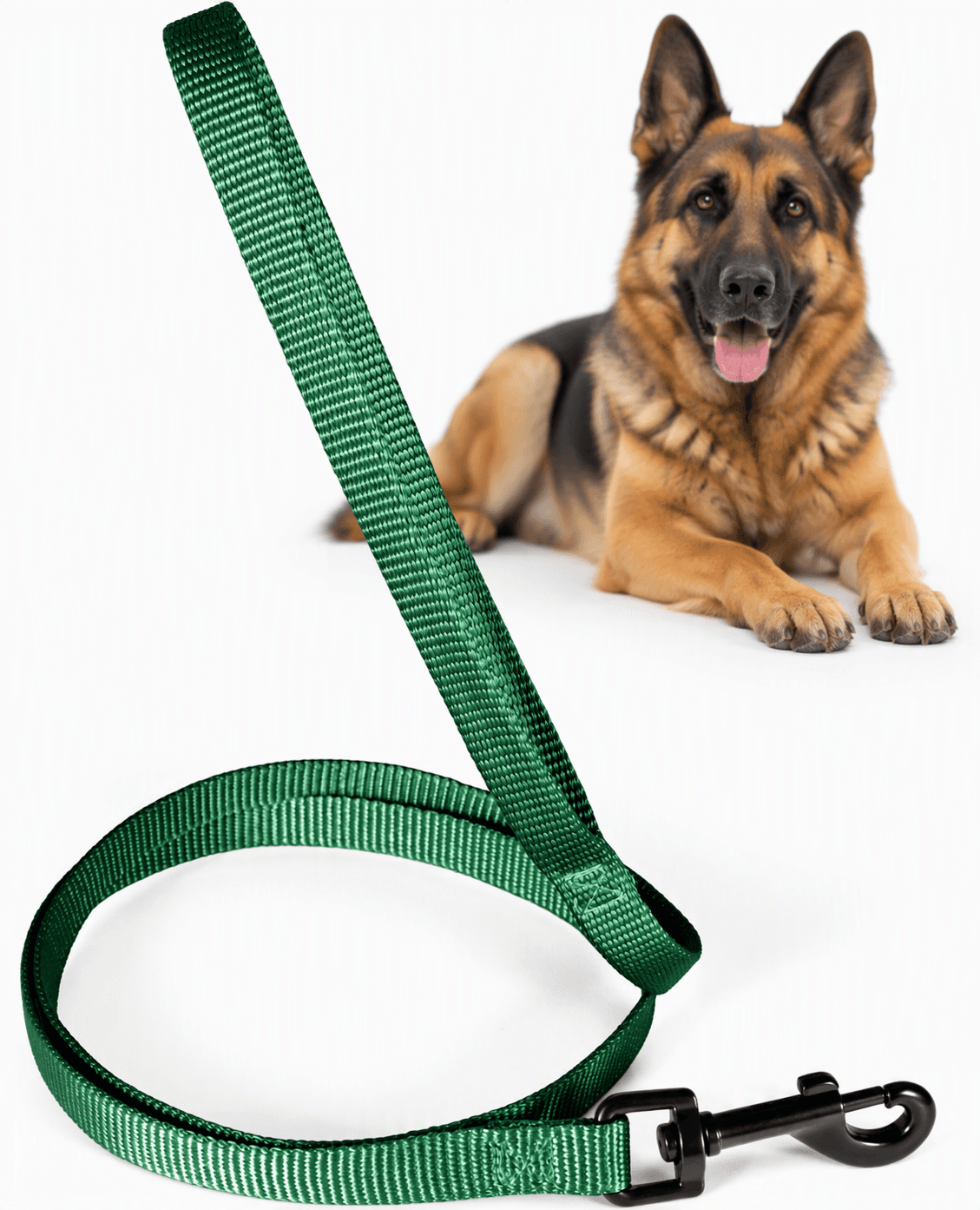 ZOLUX Klassische Nylon-Hundeleine, 1,20 m, 25 mm, grün