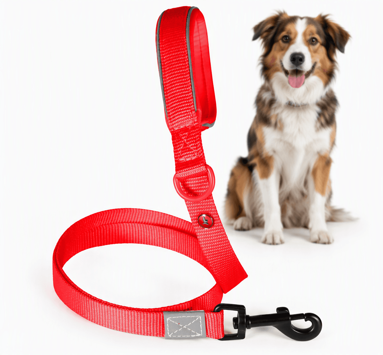 ZOLUX Premium-Nylon-Hundeleine, Größe M, 1,2 m, 20 mm, rot