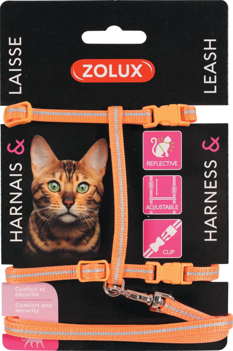 ZOLUX Spazier-Set für Katzen – Leine und Geschirr, Farbe Orange
