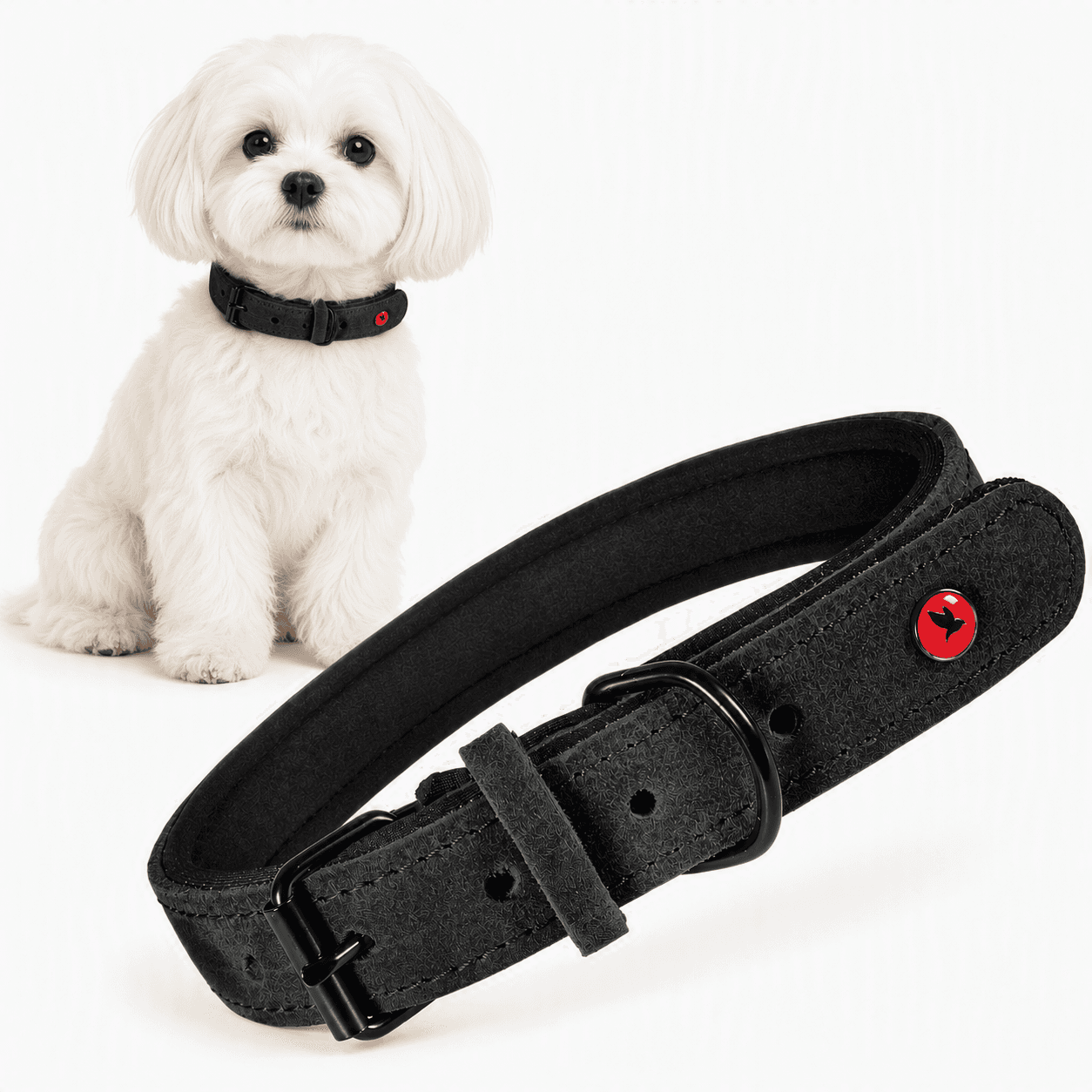 ZOLUX Komfort-Lederhalsband für Hunde, 29–36 cm, 16 mm, schwarz
