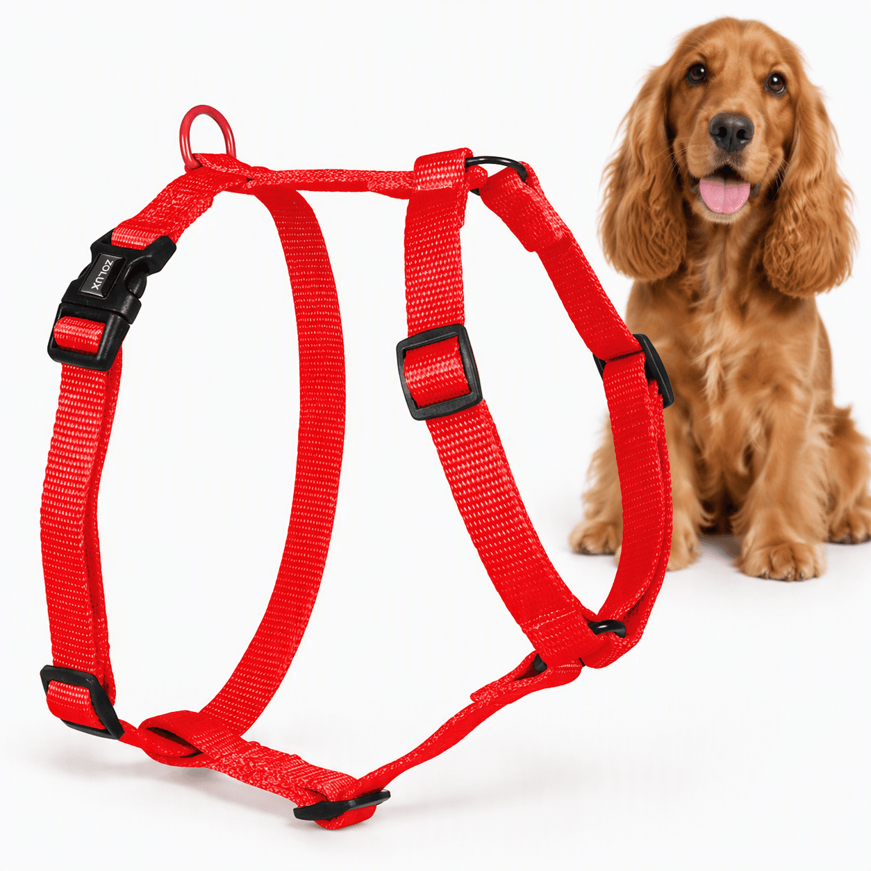 ZOLUX Klassisches Nylon-Hundegeschirr, 45–68 cm, 20 mm, rot