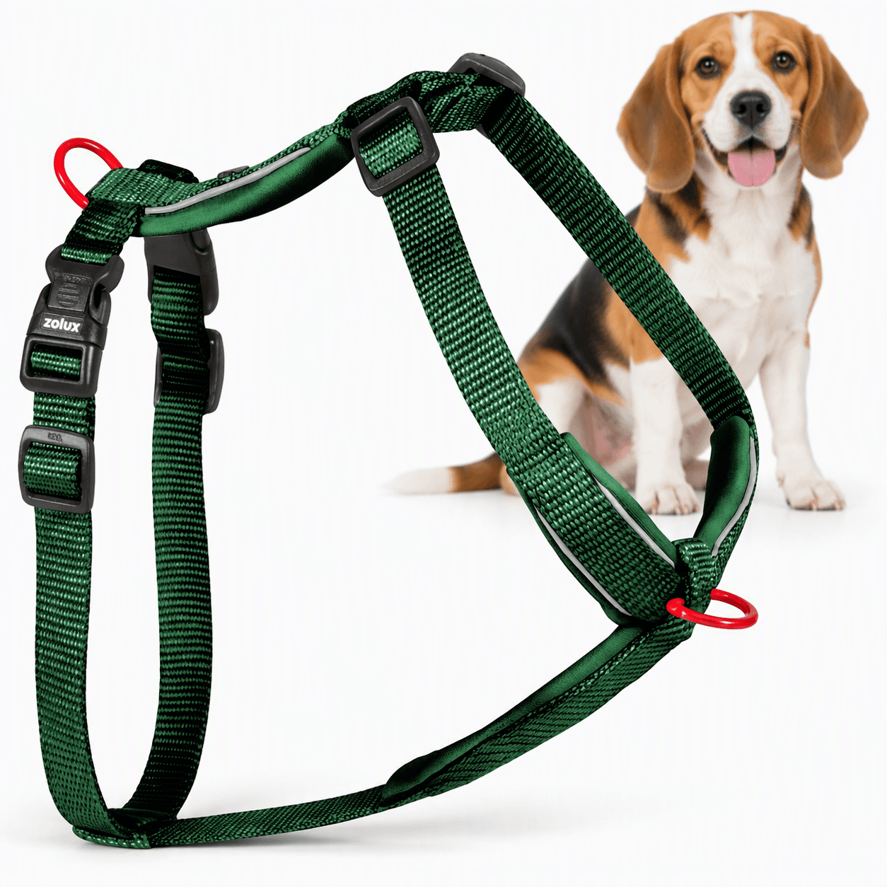 ZOLUX Premium-Nylon-Hundegeschirr, Größe M, 50–74 cm, 20 mm, grün