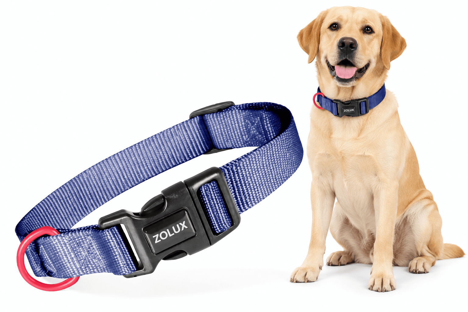 ZOLUX Klassisches Nylon-Hundehalsband, 37–58 cm, 25 mm, marineblau