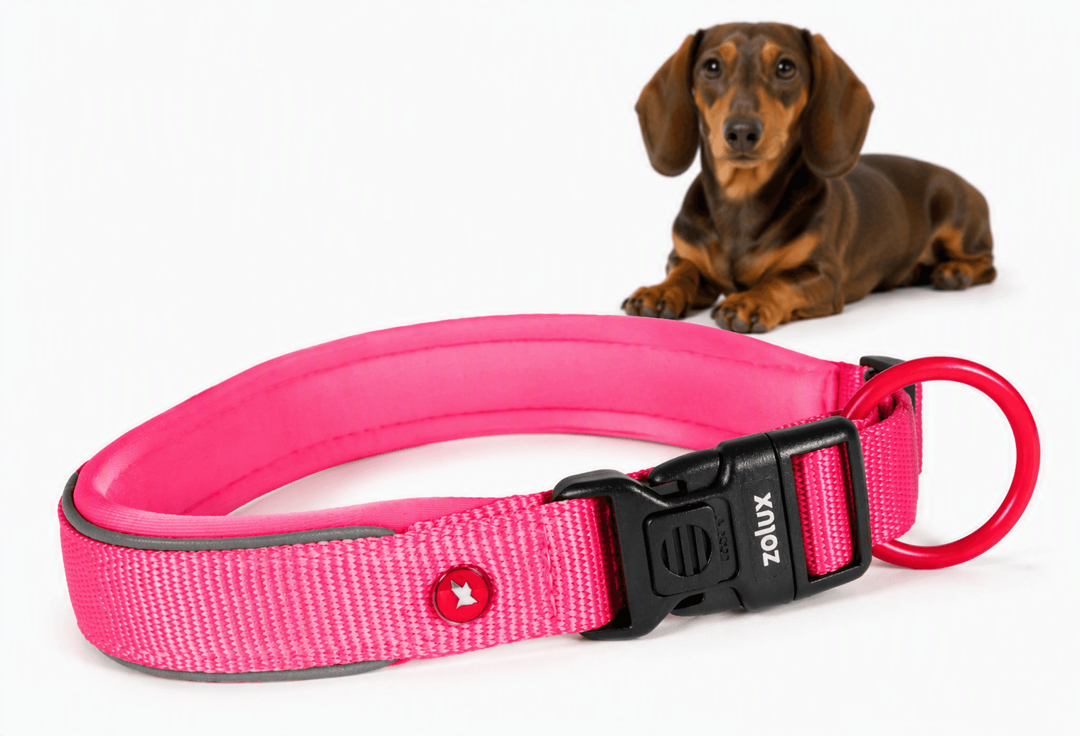 ZOLUX Premium-Nylon-Hundehalsband, Größe XS, 30–35 cm, 15 mm, fuchsia