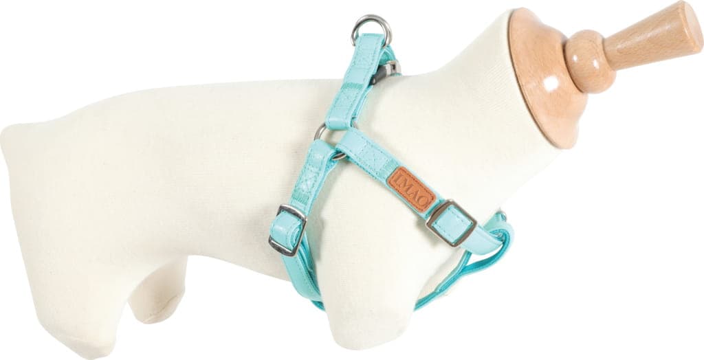 ZOLUX Geschirr für Hunde verstellbar IMAO PICCADILLY 20 mm Farbe: Türkis
