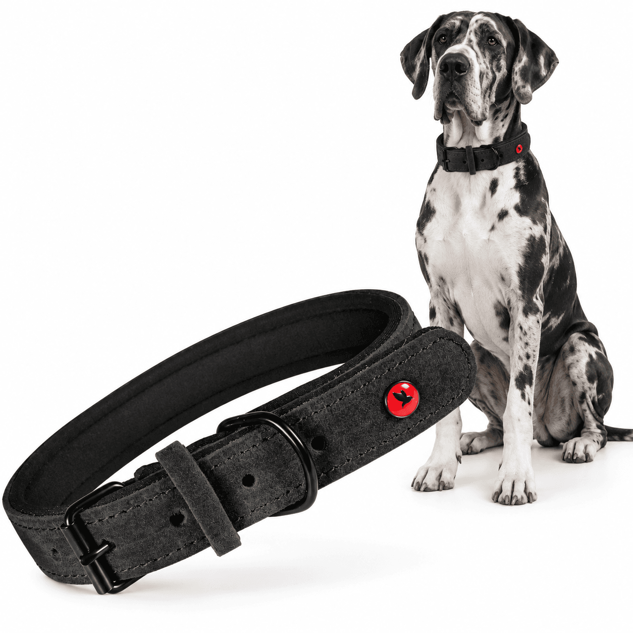 ZOLUX Komfort-Lederhalsband für Hunde, 53–65 cm, 30 mm, schwarz