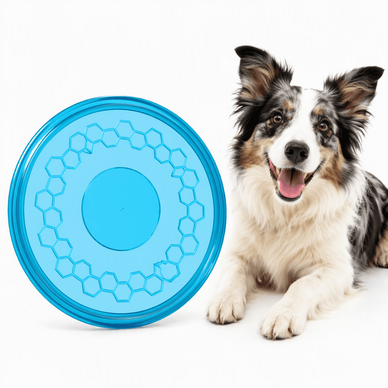 ZOLUX Hundespielzeug – TPR-Frisbee POP, 23 cm, Farbe Türkis