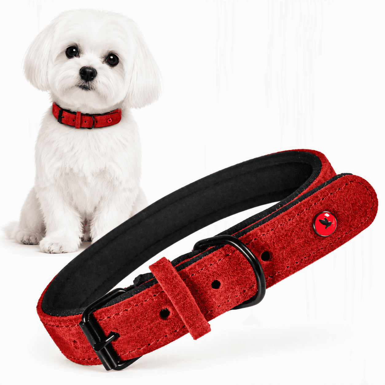 ZOLUX Komfort-Lederhalsband für Hunde, 29–36 cm, 16 mm, rot