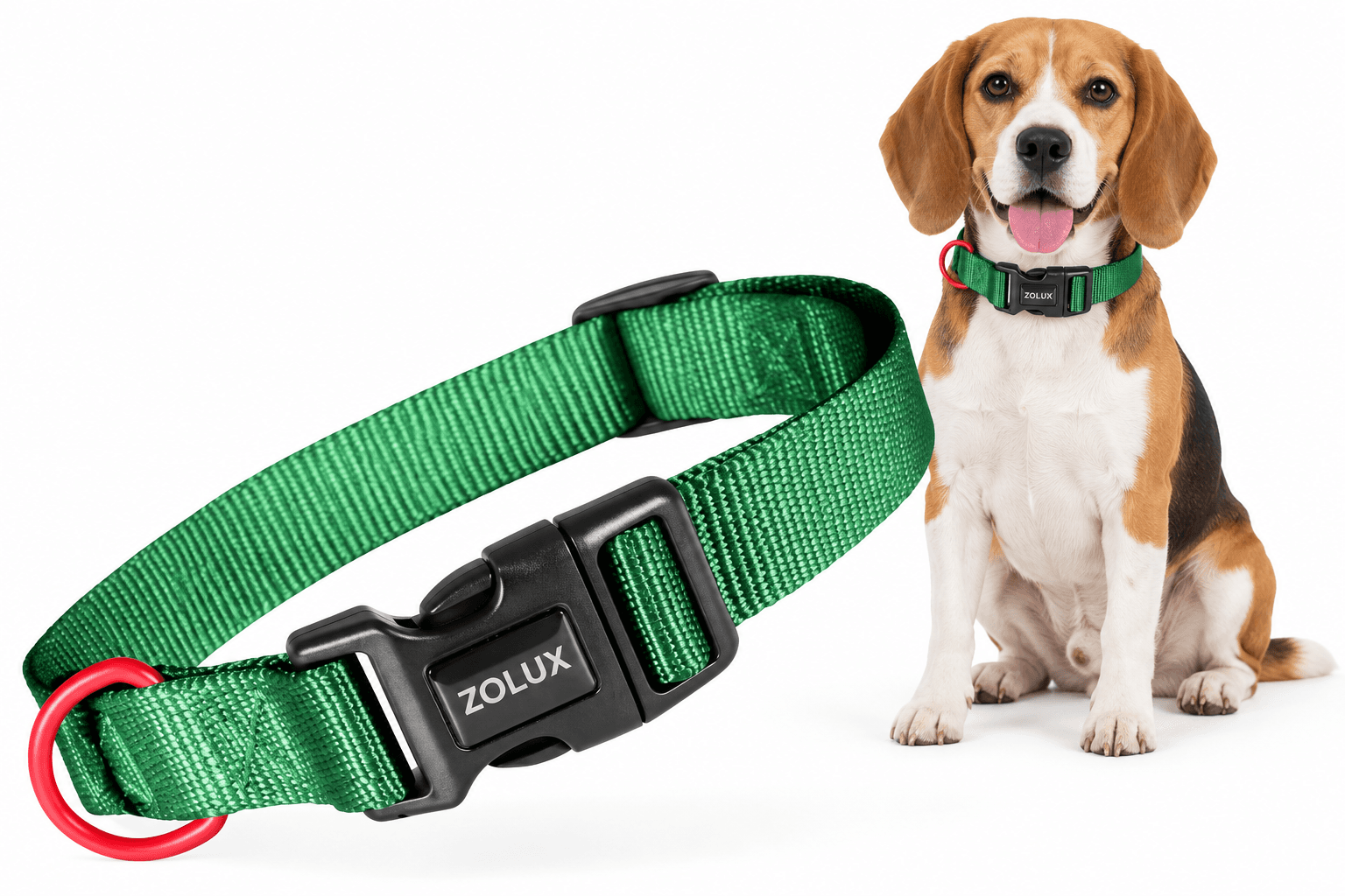 ZOLUX Klassisches Nylon-Hundehalsband, 26–39 cm, 15 mm, grün