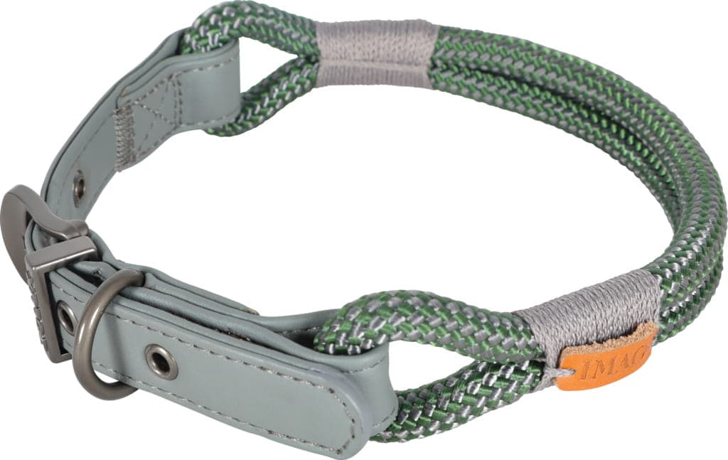 ZOLUX – Hundehalsband IMAO HYDE PARK 6 mm / 40 cm, Farbe: Grün