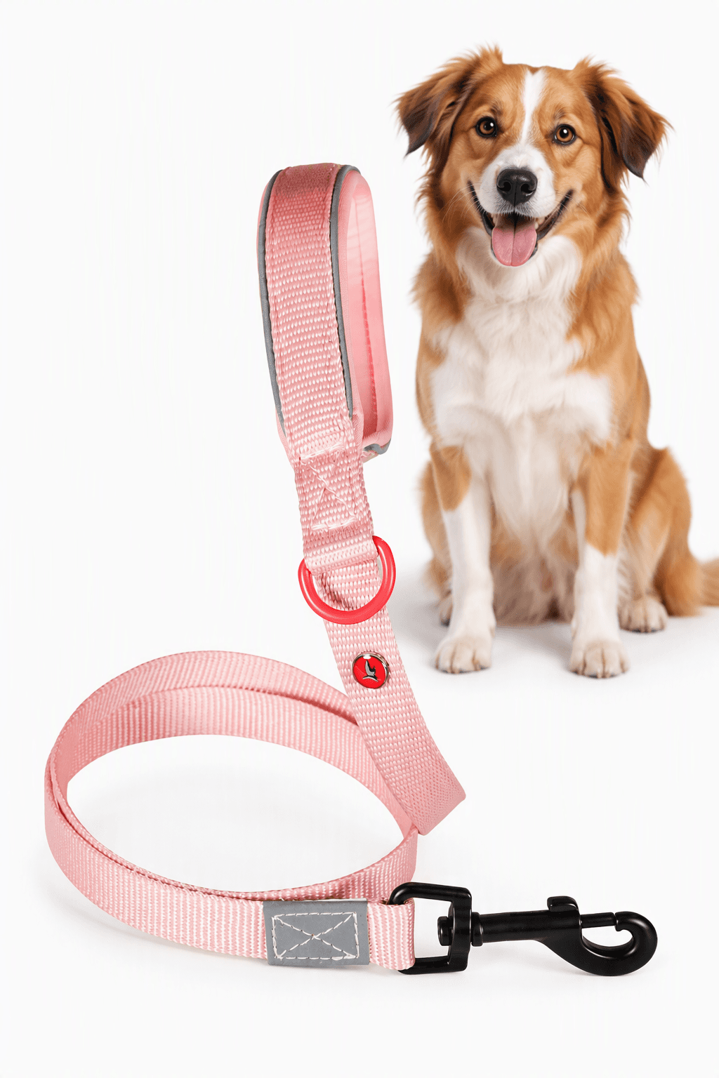 ZOLUX Premium-Nylon-Hundeleine, Größe M, 1,2 m, 20 mm, rosa