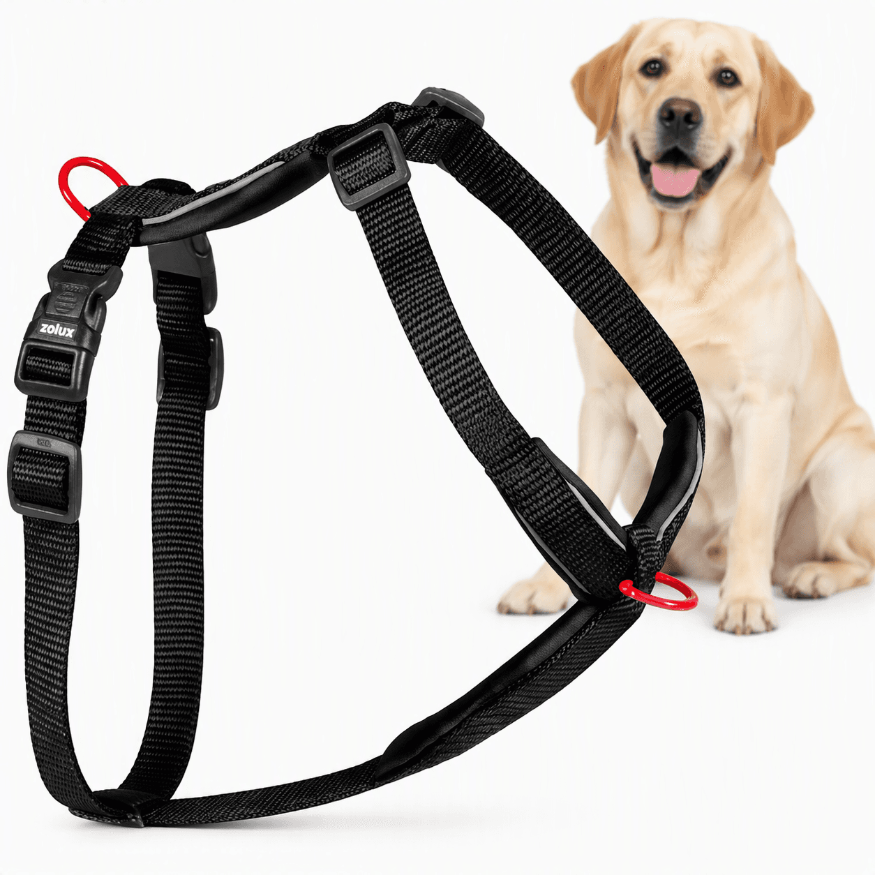 ZOLUX Premium-Nylon-Hundegeschirr, Größe L/XL, 65–97 cm, 25 mm, schwarz