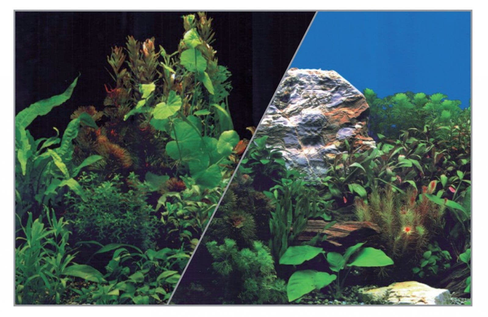 ZOLUX Aquarium-Hintergrund beidseitig 40 x 60 cm Pflanzen Schwarz/Pflanzen Blau