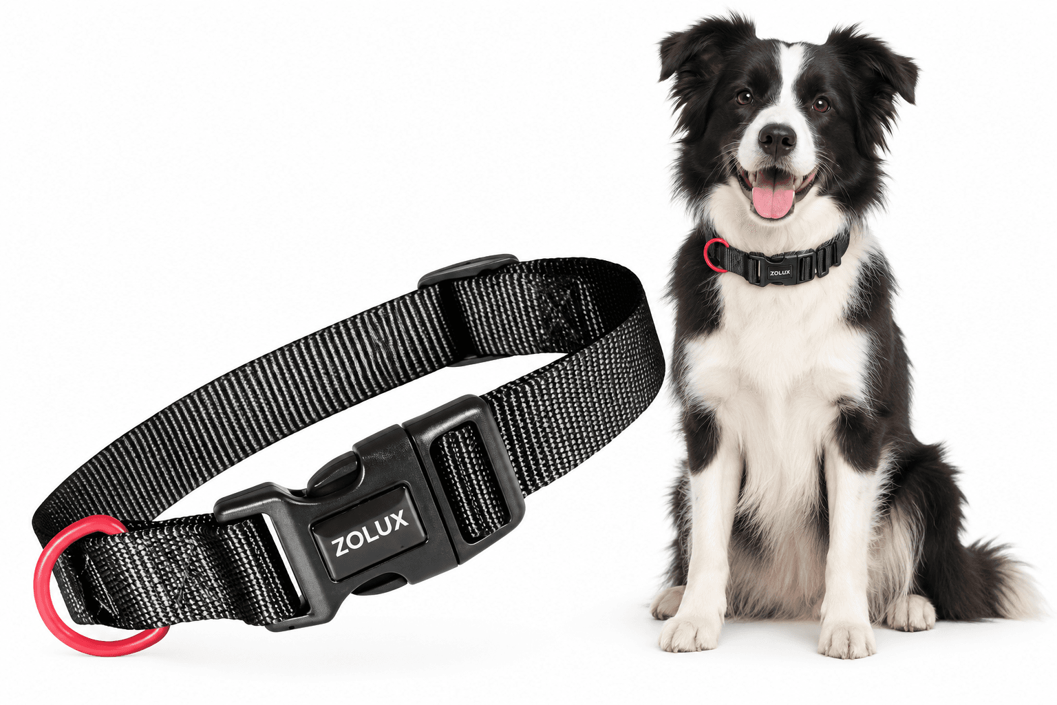 ZOLUX Klassisches Nylon-Hundehalsband, 31–48 cm, 20 mm, schwarz