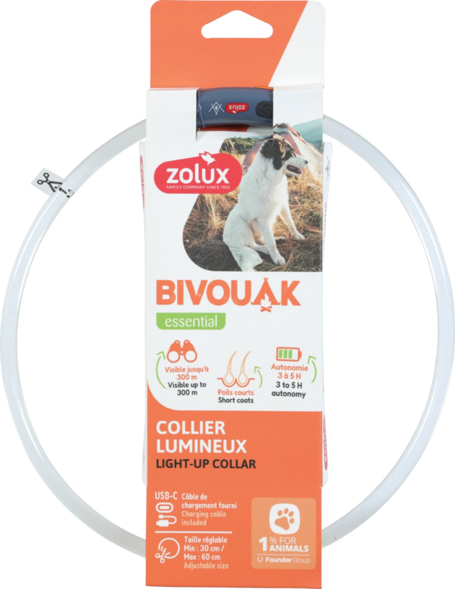ZOLUX LED-Hundehalsband, leuchtendes Silikon, BIVOUAK, transparent, blau