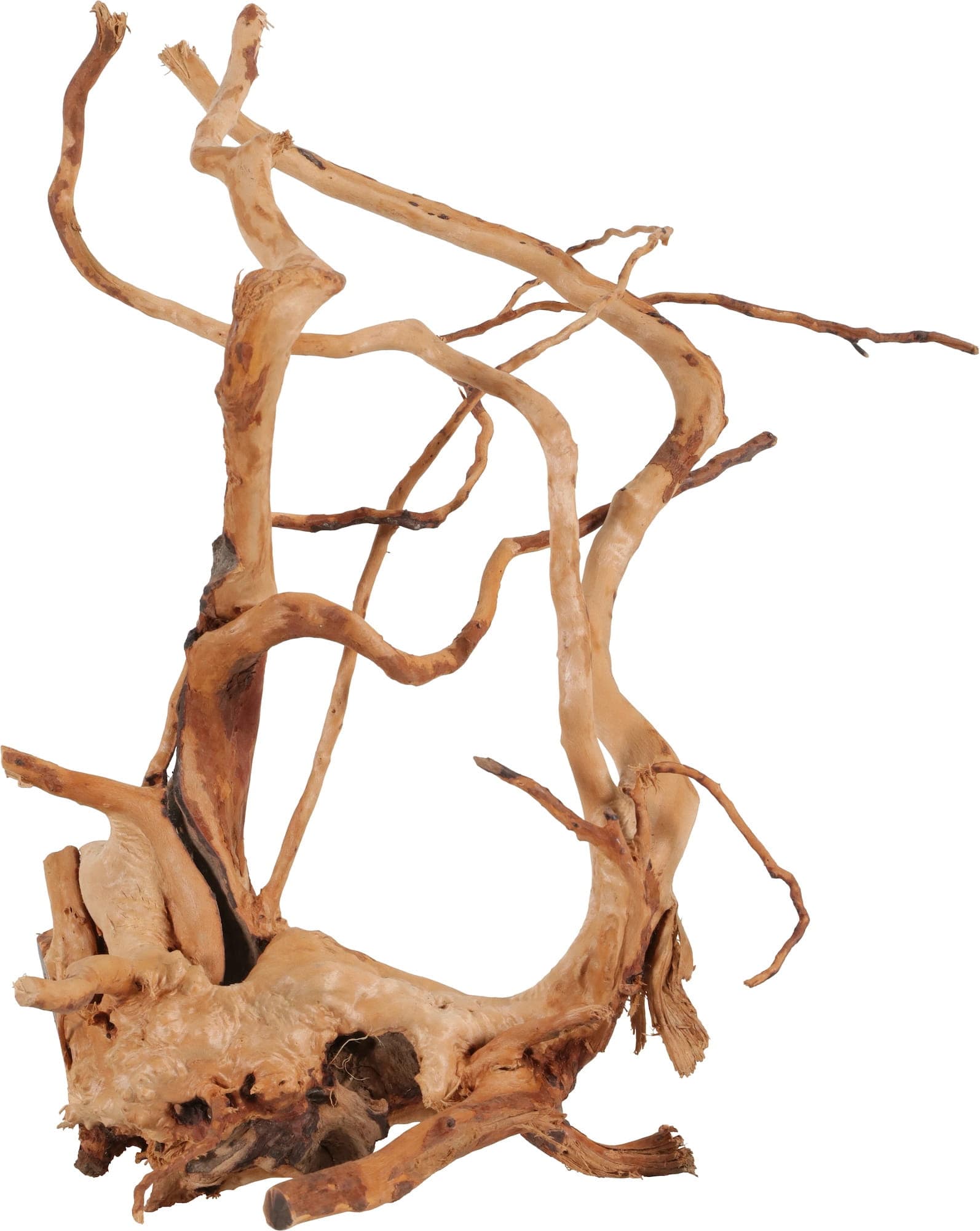 ZOLUX Aquariendekoration – Japanische Wurzel Spider Wood 40–50 cm