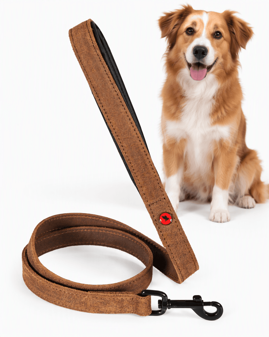 ZOLUX Komfort-Lederleine für Hunde, 1 m, 20 mm, braun