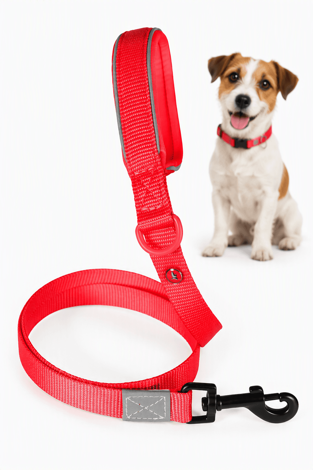ZOLUX Premium-Nylon-Hundeleine, Größe XS, 1,2 m, 15 mm, rot