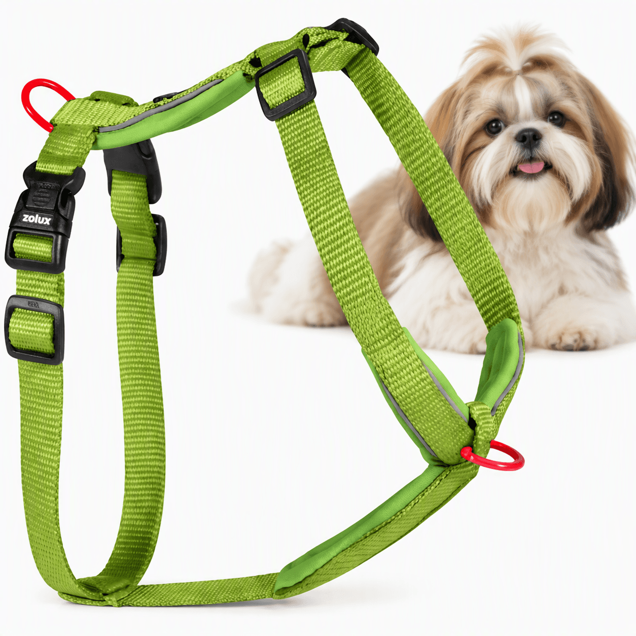 ZOLUX Premium-Nylon-Hundegeschirr, Größe S, 38–56 cm, 15 mm, hellgrün