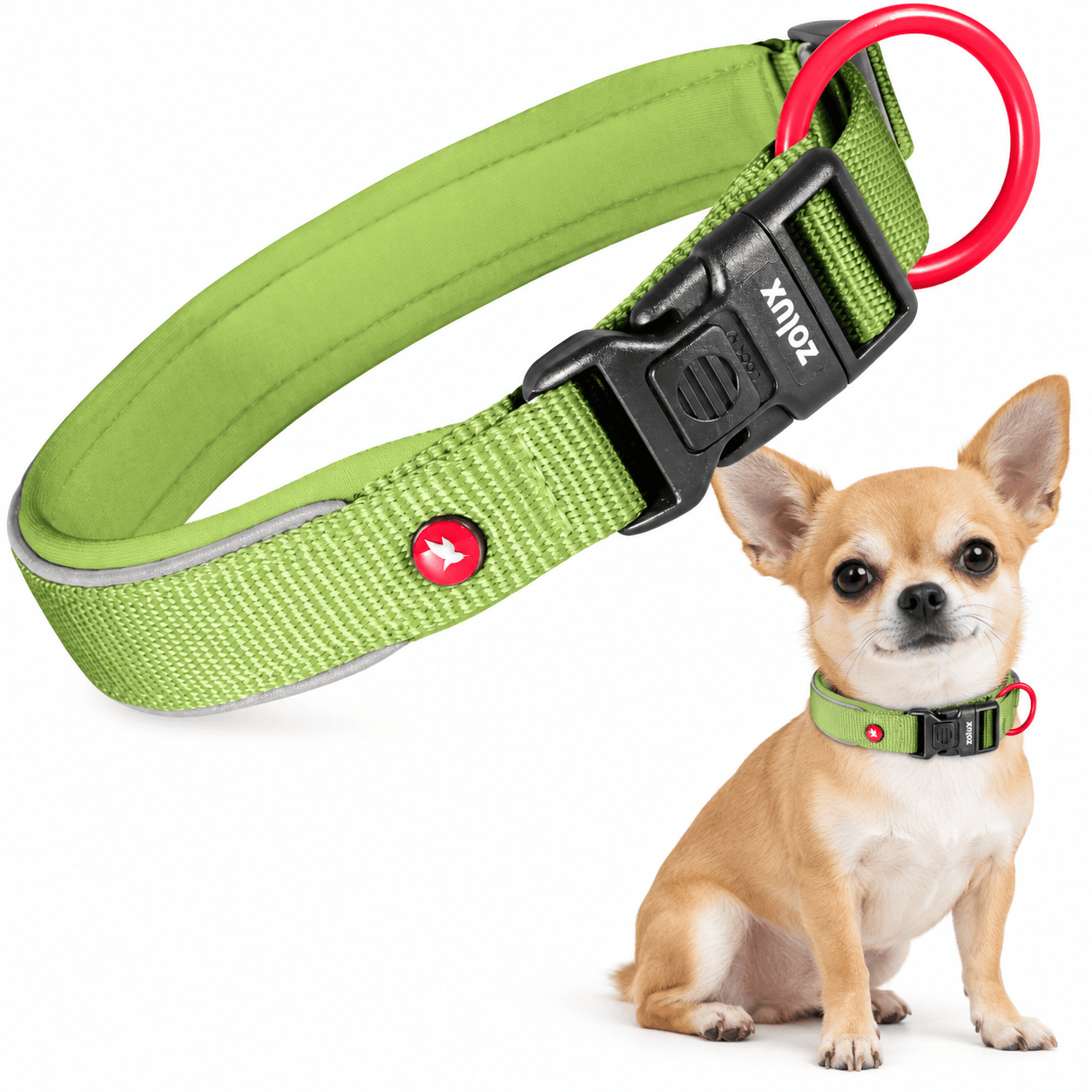 ZOLUX Premium-Nylon-Hundehalsband, Größe XXS, 25–30 cm, 15 mm, hellgrün